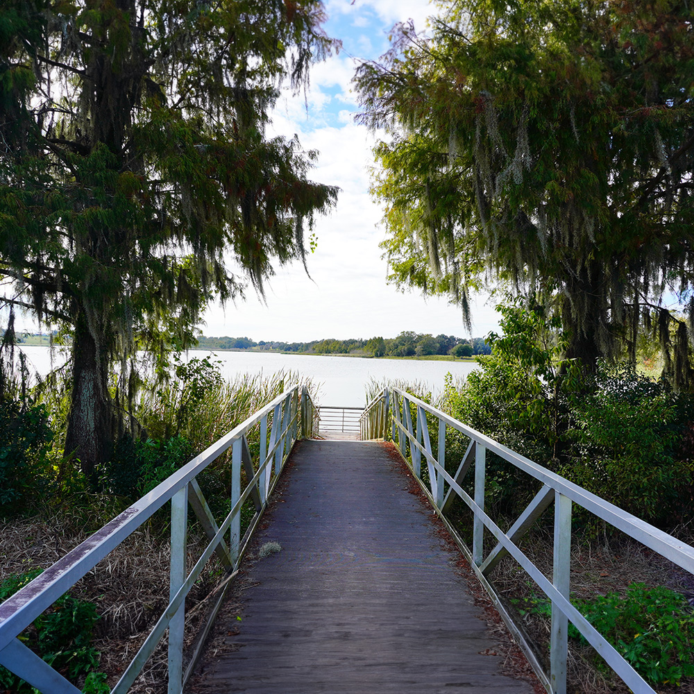 The image shows a wooden pier leading into a serene marshland with a clear sky above and trees lining both sides of the path.