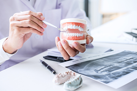 The image shows a dental professional holding up a model human tooth with a magnifying glass, examining its structure closely.
